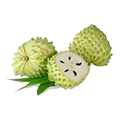 Custard apple